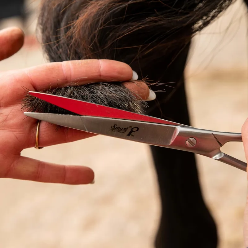 Smart Grooming Pointed Tail Scissors - 7.5/19cm-3
