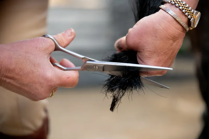Smart Grooming Pointed Tail Scissors - 7.5/19cm-2