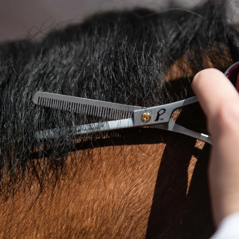 Smart Grooming Single Leg Thinning Scissors - 6/15cm-2