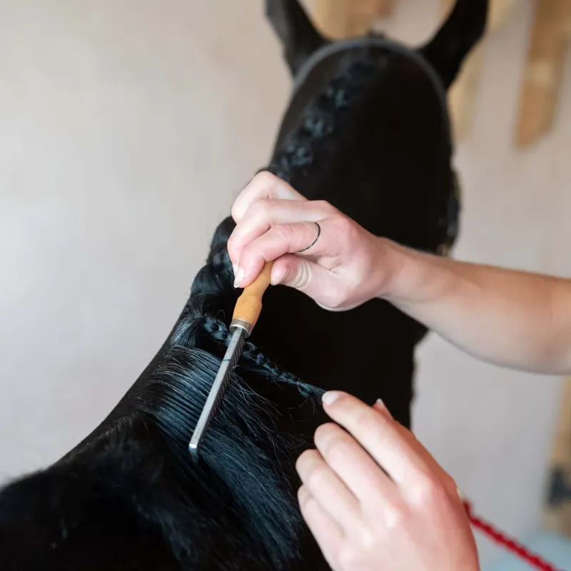 Smart Grooming Mane Comb-3