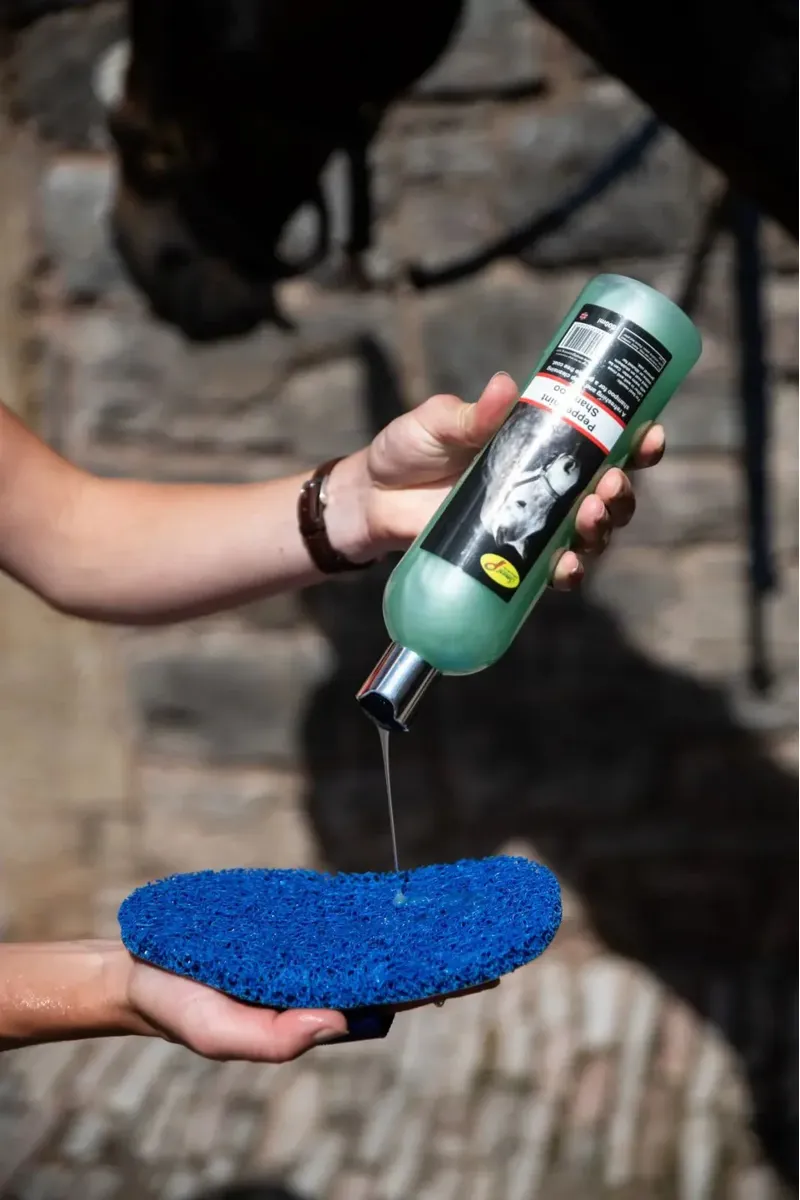 Smart Grooming Super Groomer Deluxe Edition Grooming Tool - Blue-1