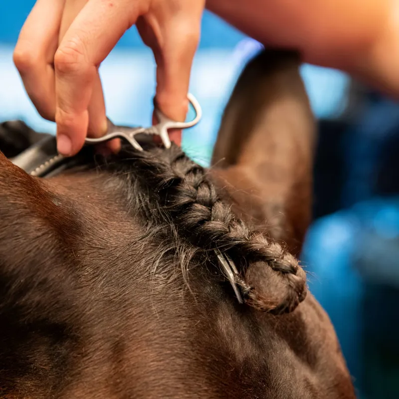 Smart Grooming Forelock Plaiting Grippers-3