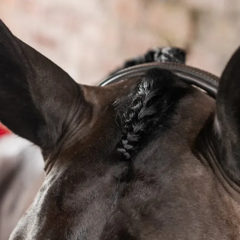 Smart Grooming Forelock Plaiting Grippers-2