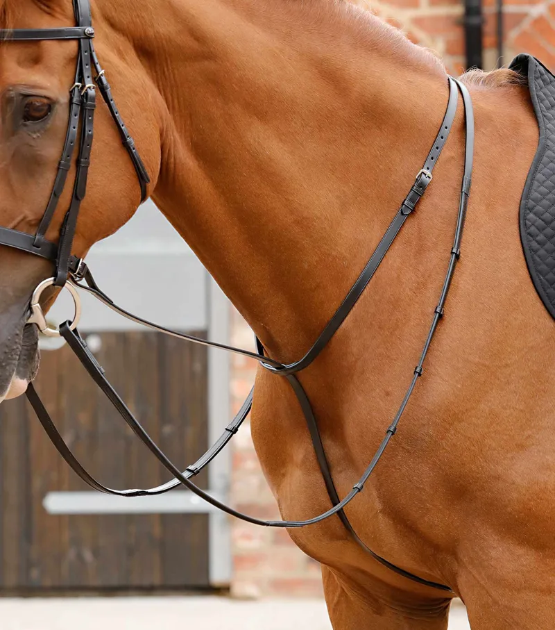 Premier Equine Gressan Standing Martingale - Black-2