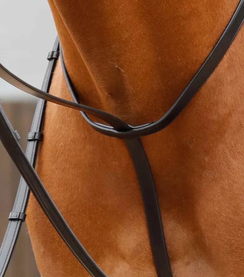 Premier Equine Gressan Standing Martingale - Black-3