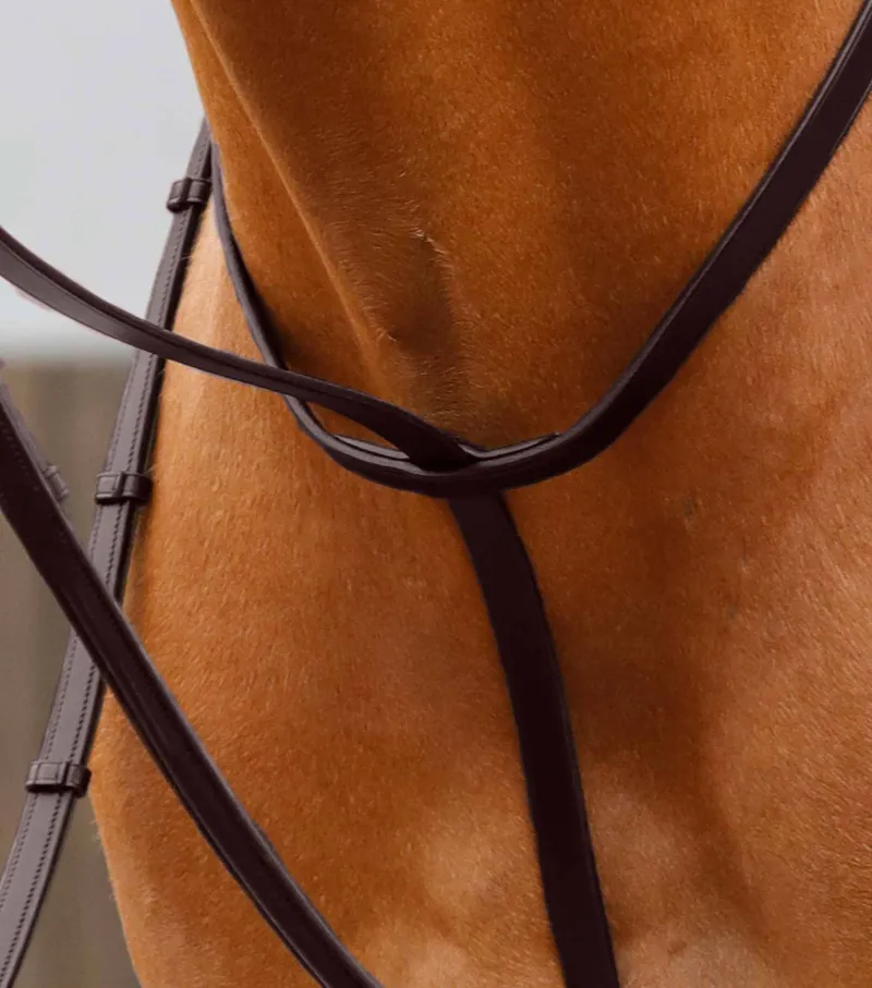 Premier Equine Gressan Standing Martingale - Brown-3