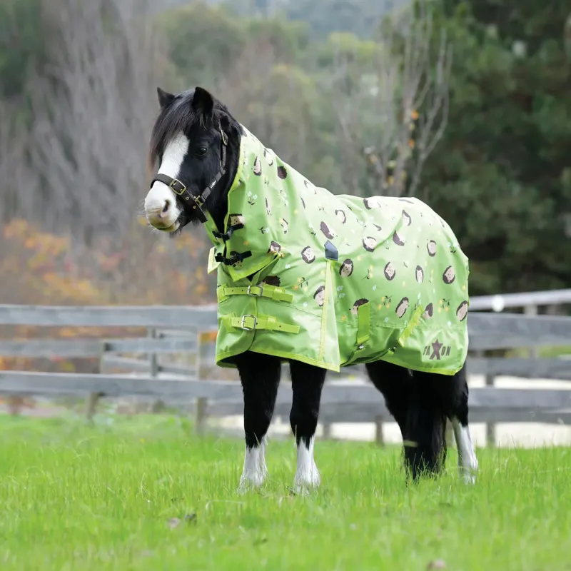 Saxon 600D Pony Combo Neck 0g Turnout Rug - Hedgehogs/Flowers Print