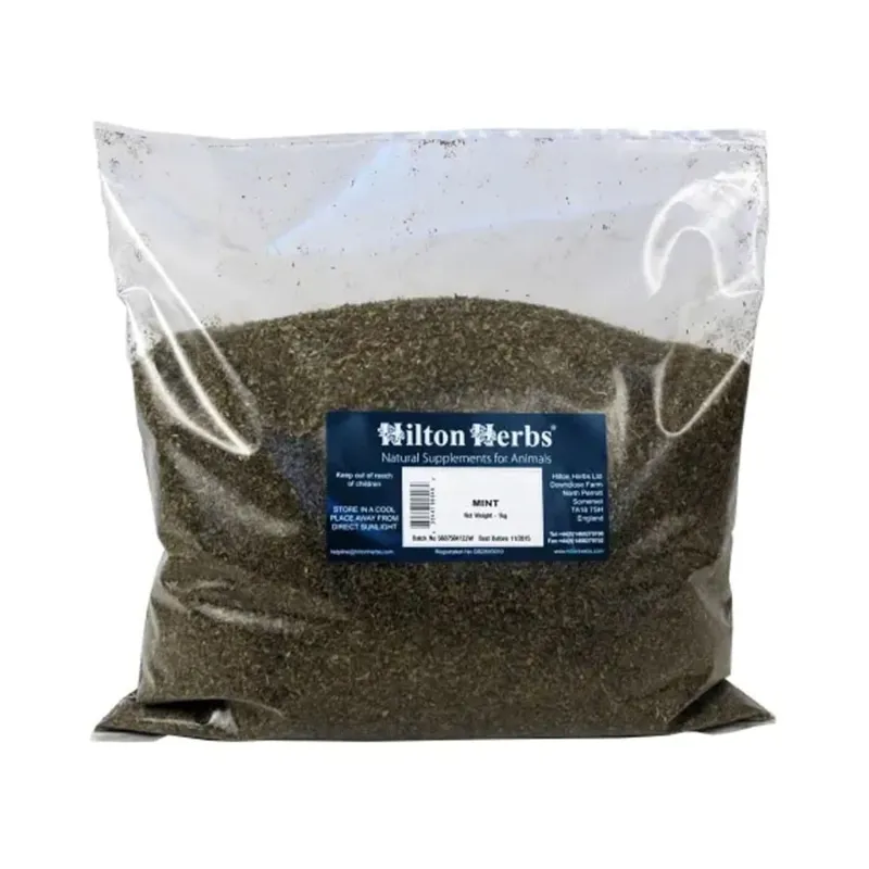Hilton Herbs Mint 1kg Bag