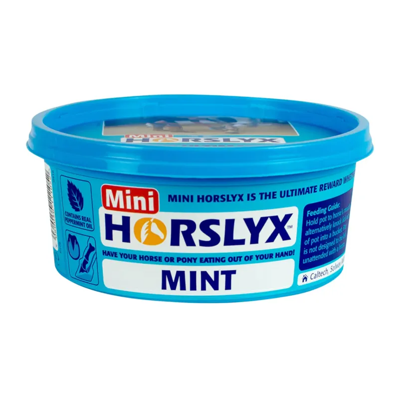 Horslyx Mint Mini Lick - 650g