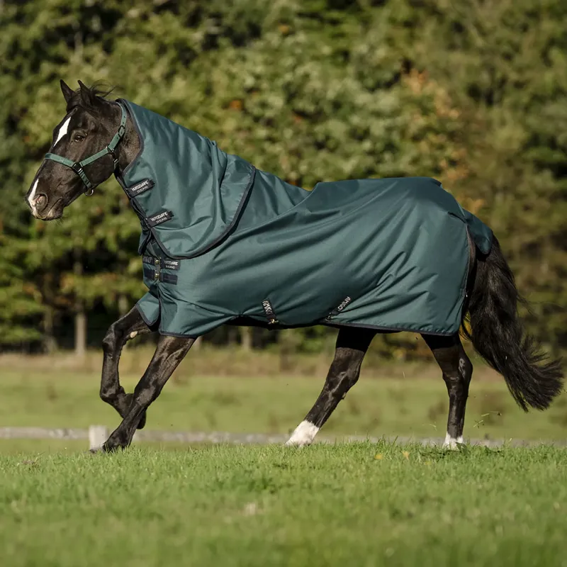 Horseware Amigo Ripstop 900D 0g Plus Turnout Rug - Dynasty Green/Navy