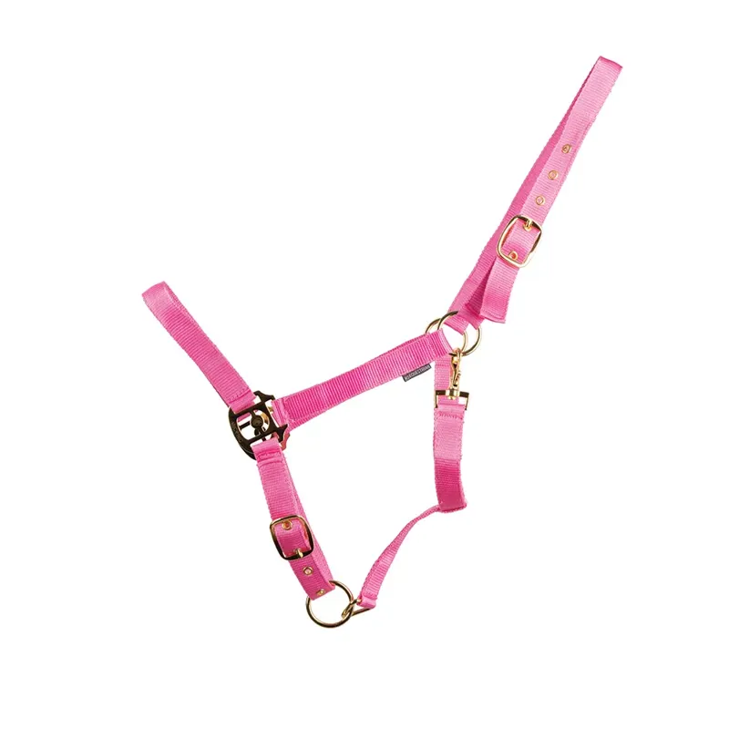 HY Equestrian HyCONIC Head Collar - Pink