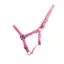 HY Equestrian HyCONIC Head Collar - Pink