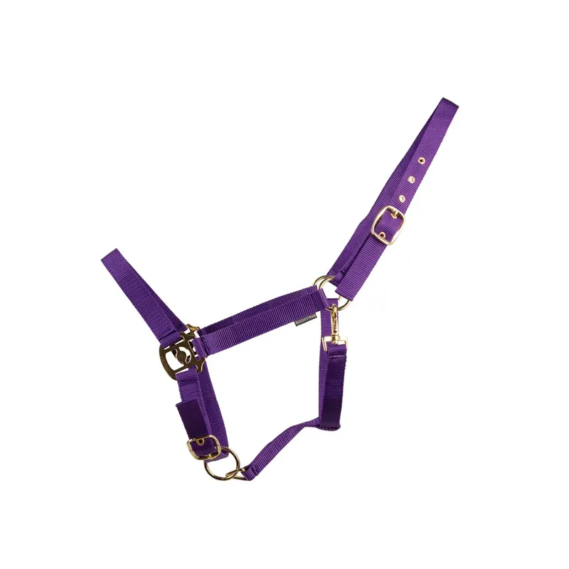 Hy Equestrian HyConic Head Collar - Purple
