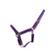Hy Equestrian HyConic Head Collar - Purple