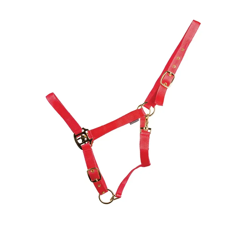 Hy Equestrian HyCONIC Head Collar - Red