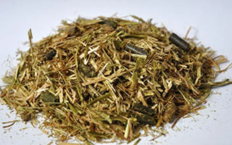 Dengie Hi-Fi Molasses Free - 20kg-1