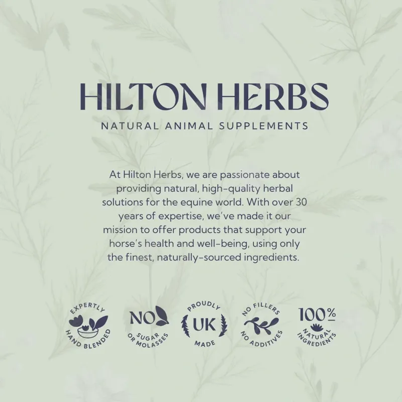 Hilton Herbs Canine Senior Dog 125g Tub-6