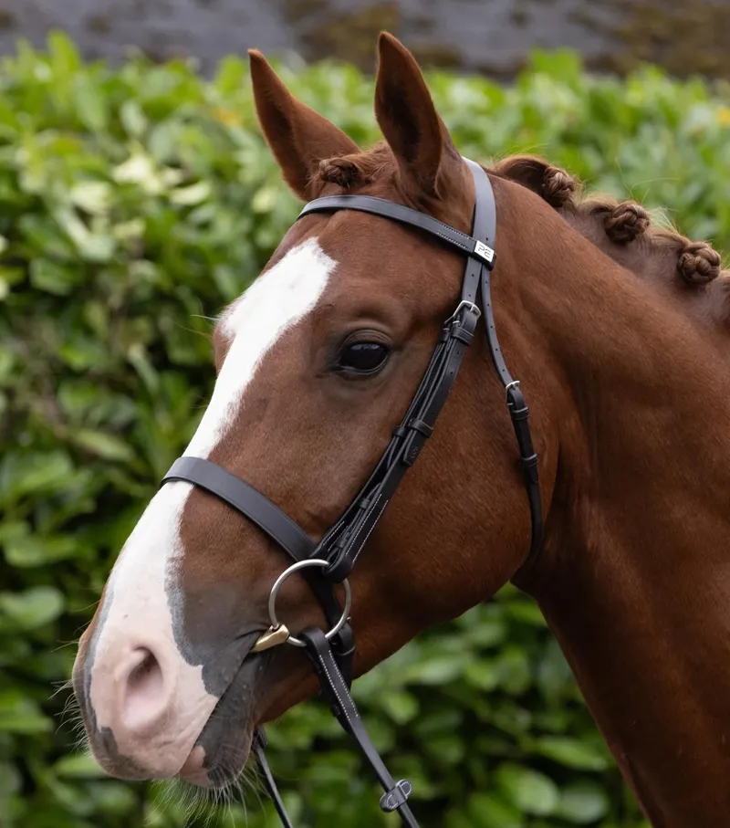Premier Equine Hunter Bridle - Dark Havana-4