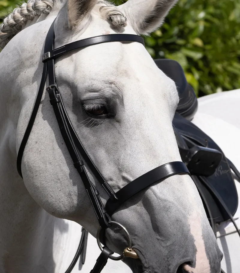Premier Equine Hunter Cavesson Noseband - Black-1
