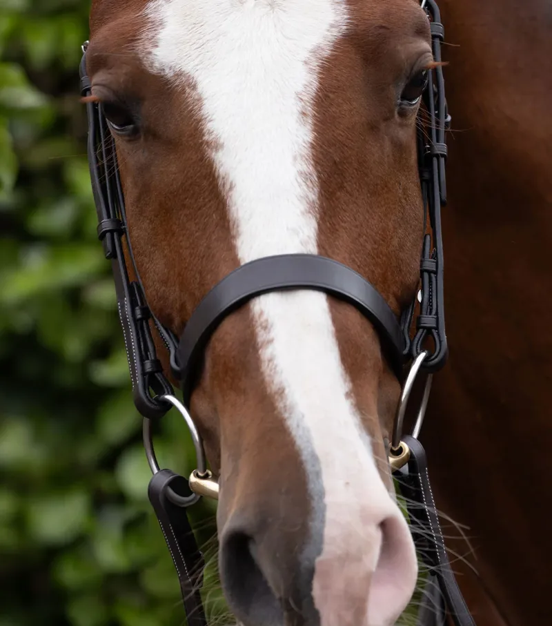Premier Equine Hunter Cavesson Noseband - Dark Havana-2