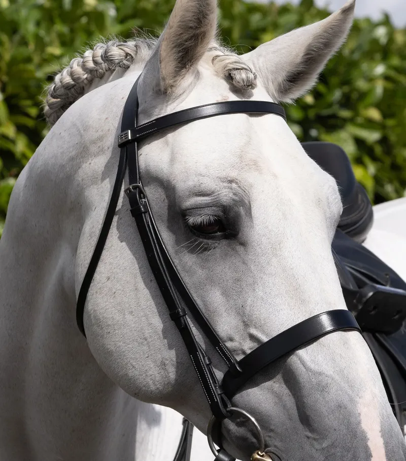 Premier Equine Hunter Plain Bridle Headpiece - Black-3