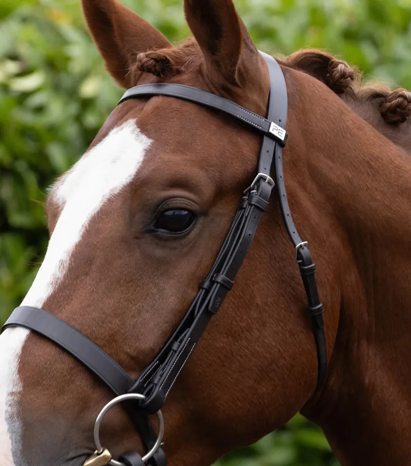 Premier Equine Hunter Plain Bridle Headpiece - Dark Havana-3