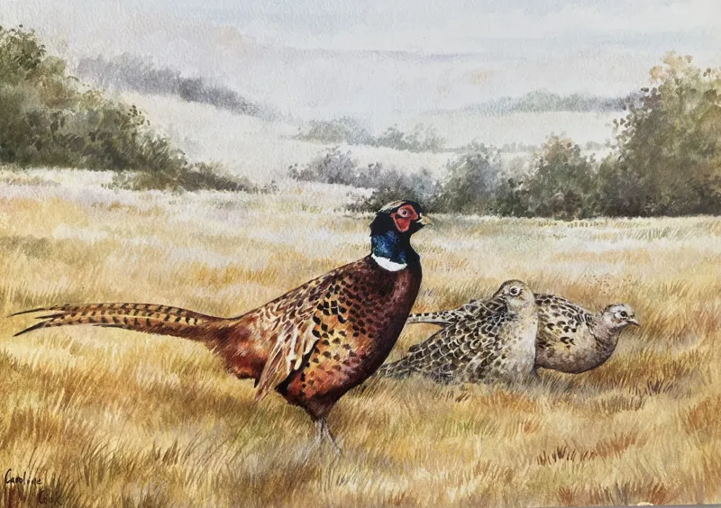 Caroline Cook Equestrian Card - September Pheasants