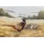 Caroline Cook Equestrian Card - September Pheasants