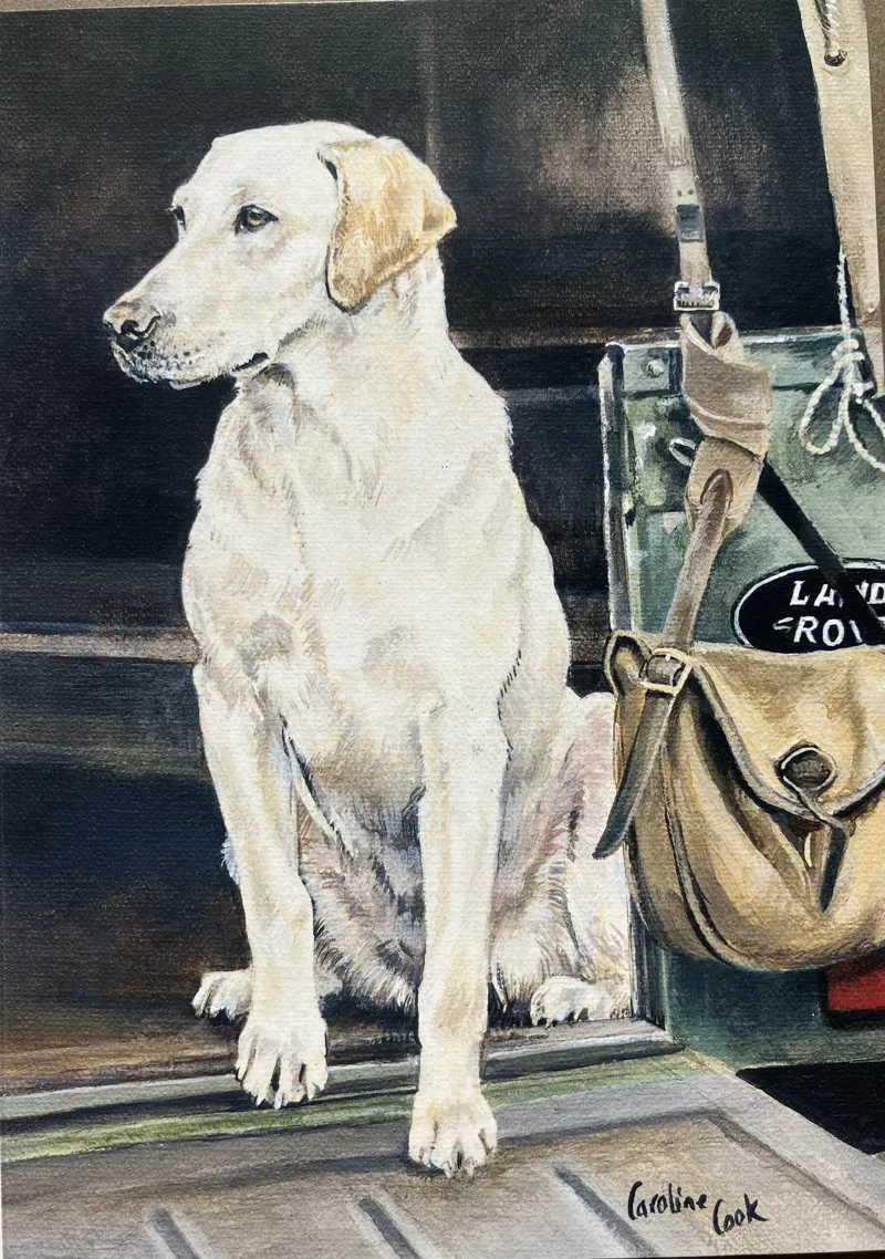 Caroline Cook Equestrian Card - A Sporting Life