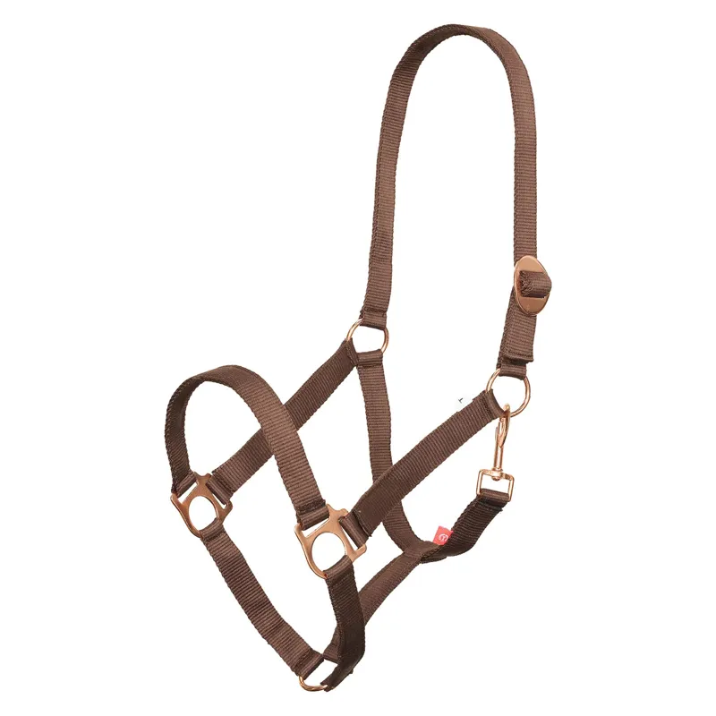 Imperial Riding Headcollar IRHEconomic - Cob - Walnut
