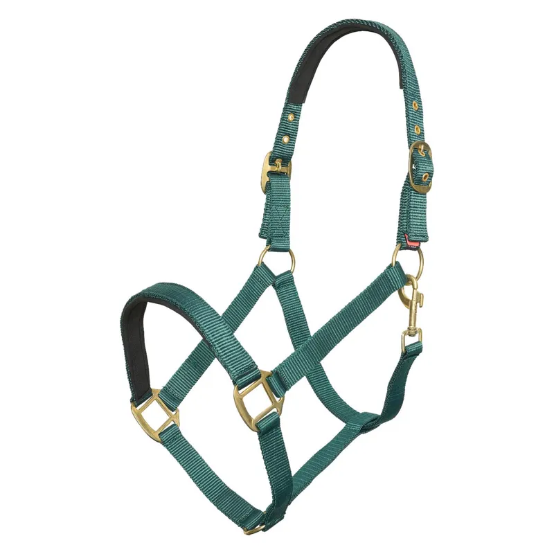 Imperial Riding Headcollar IRHClassic Sport - Forest Green
