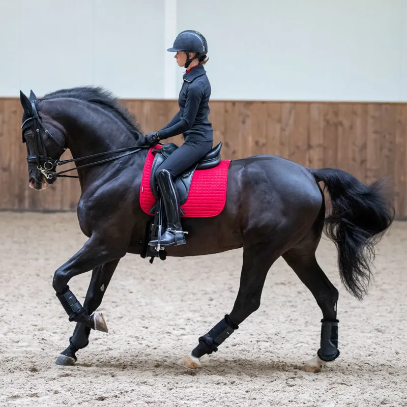 LeMieux Suede Dressage Square - Chilli-1