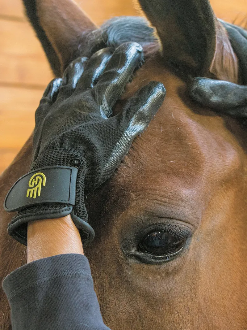 Lemieux Hands On Grooming Gloves - Black-5