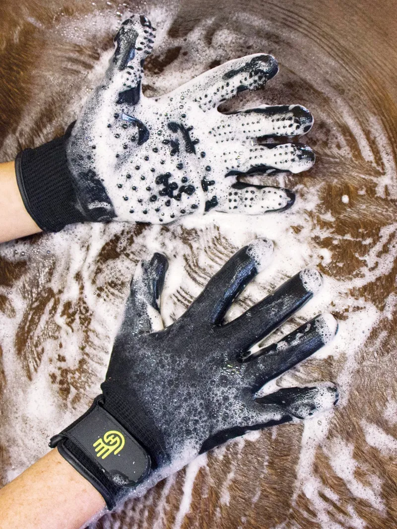 Lemieux Hands On Grooming Gloves - Black-4