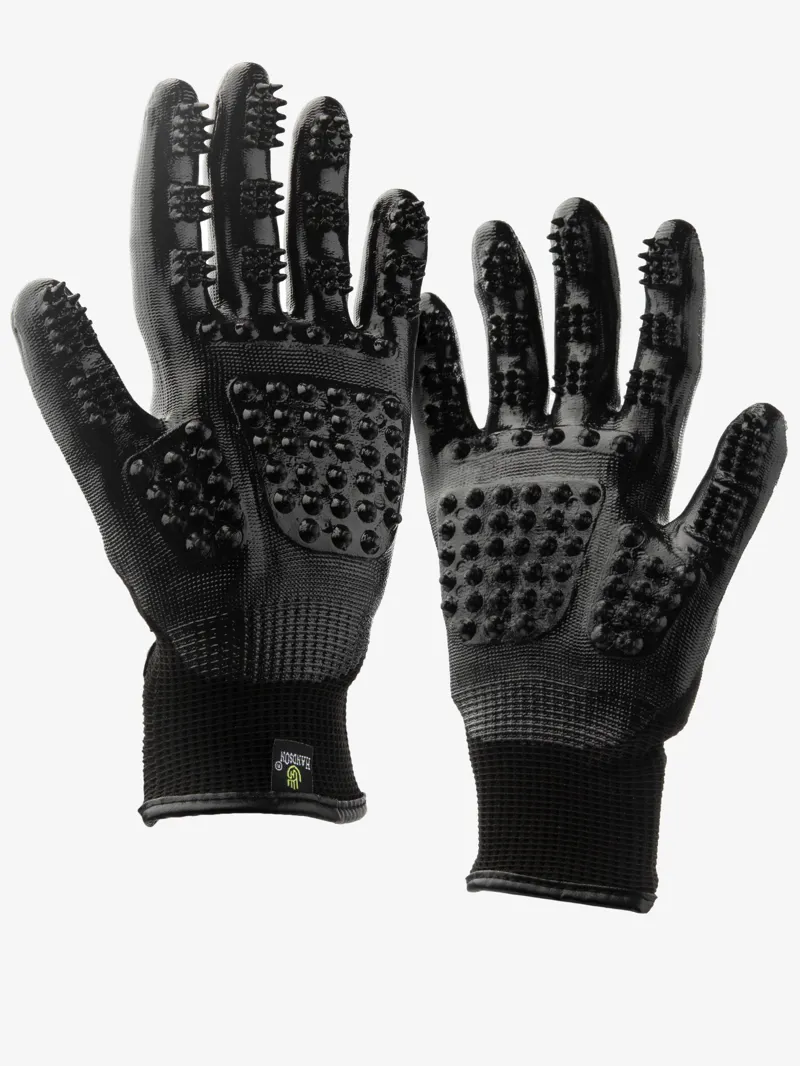 Lemieux Hands On Grooming Gloves - Black-1