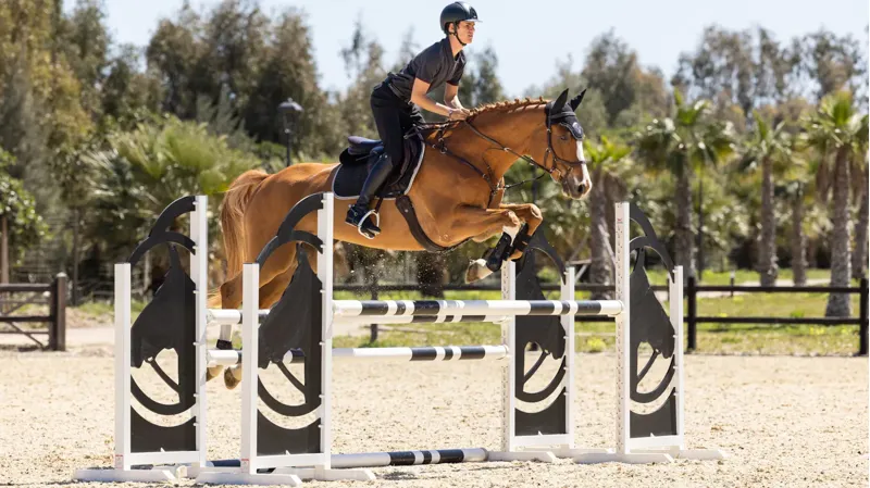 LeMieux Suede EuroJump Square - Black-3