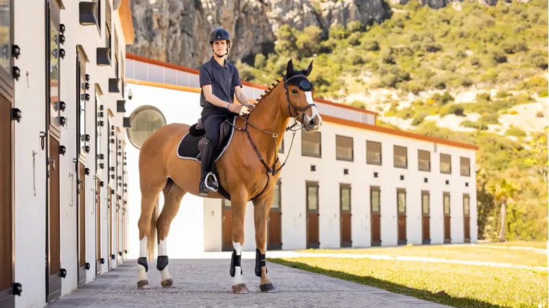 LeMieux Suede EuroJump Square - Black-1