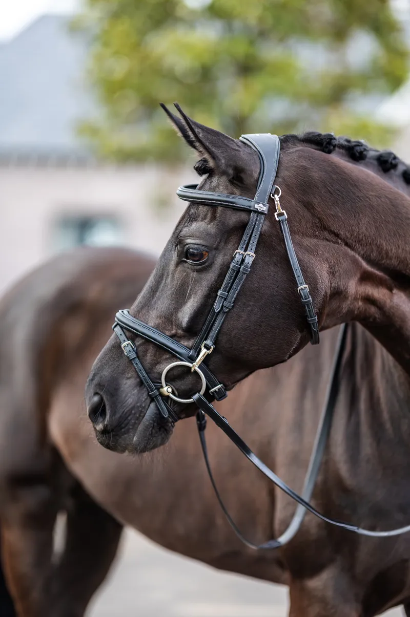 Lemieux Kudos Work Bridle - Black-1