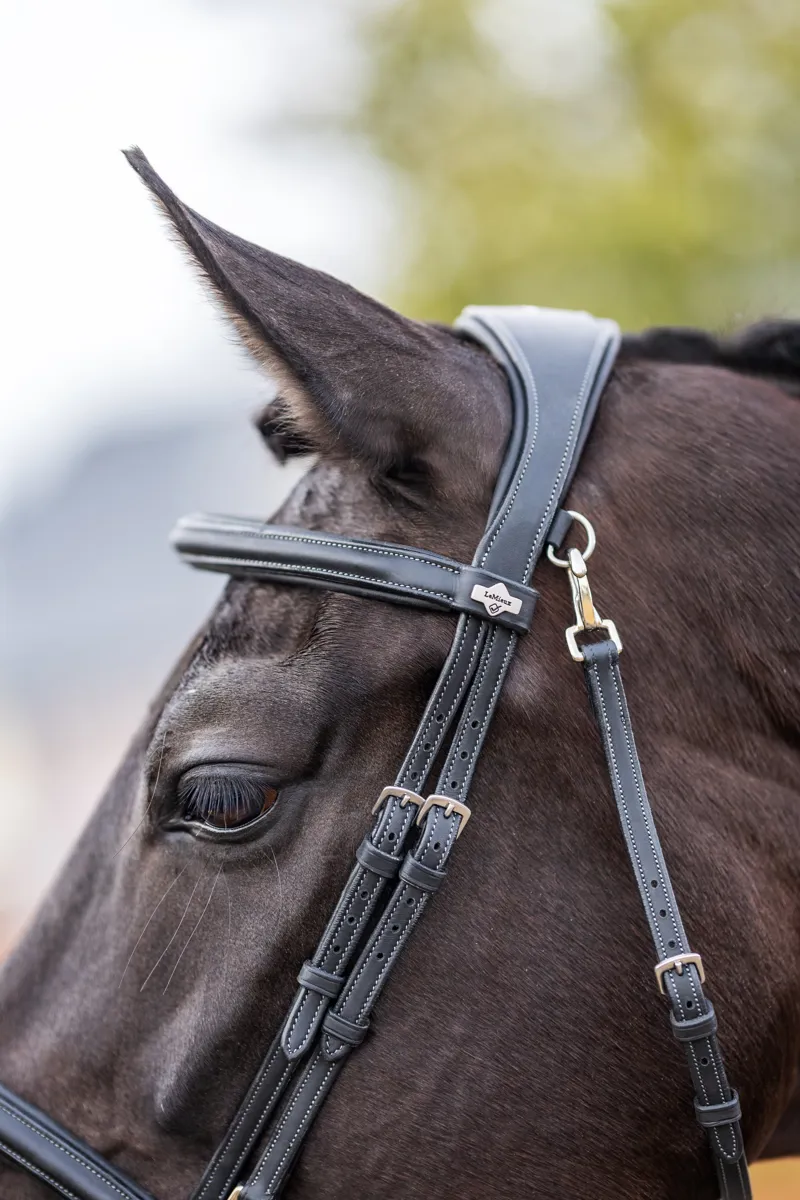 Lemieux Kudos Work Bridle - Black-2