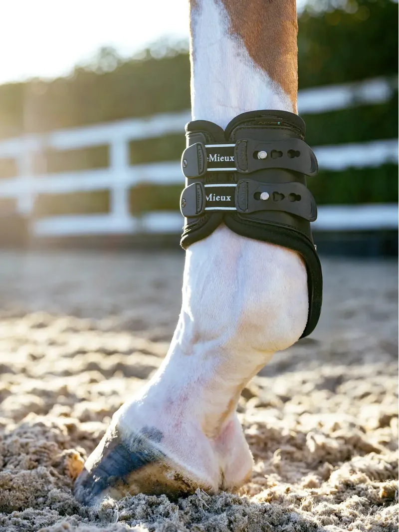 LeMieux Exo-Flex Fetlock Spare Strap Set - Black-1