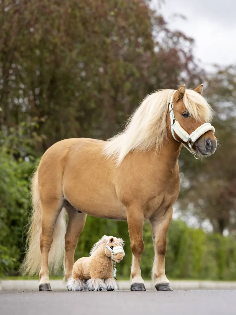 LeMieux Toy Pony - Cloudy-3