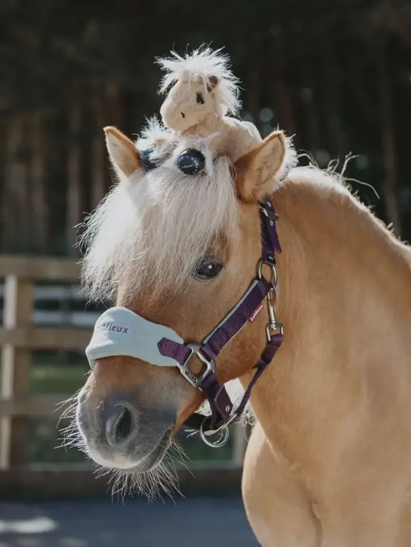 LeMieux Toy Pony - Cloudy-1
