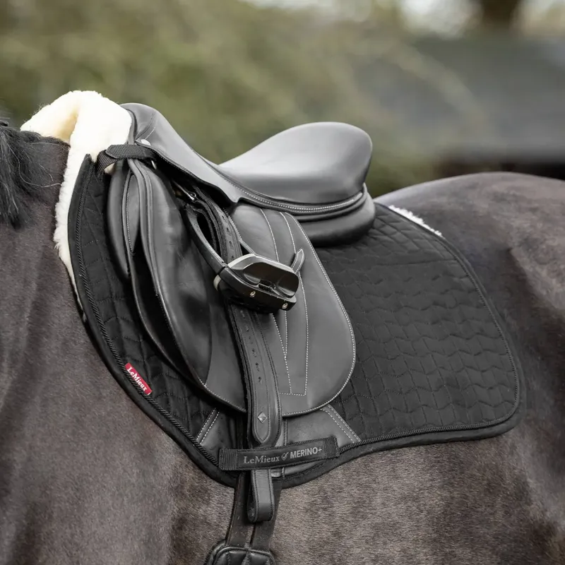 LeMieux Merino Half Lined Suede EuroJump Square - Black/Natural-1