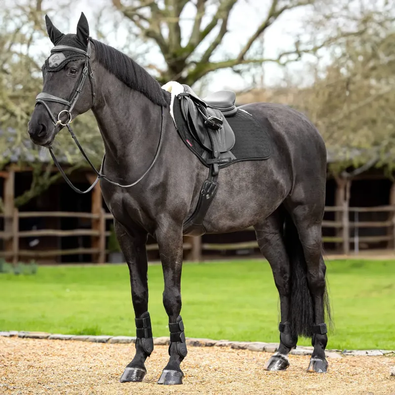 LeMieux Merino Half Lined Suede EuroJump Square - Black/Natural-2