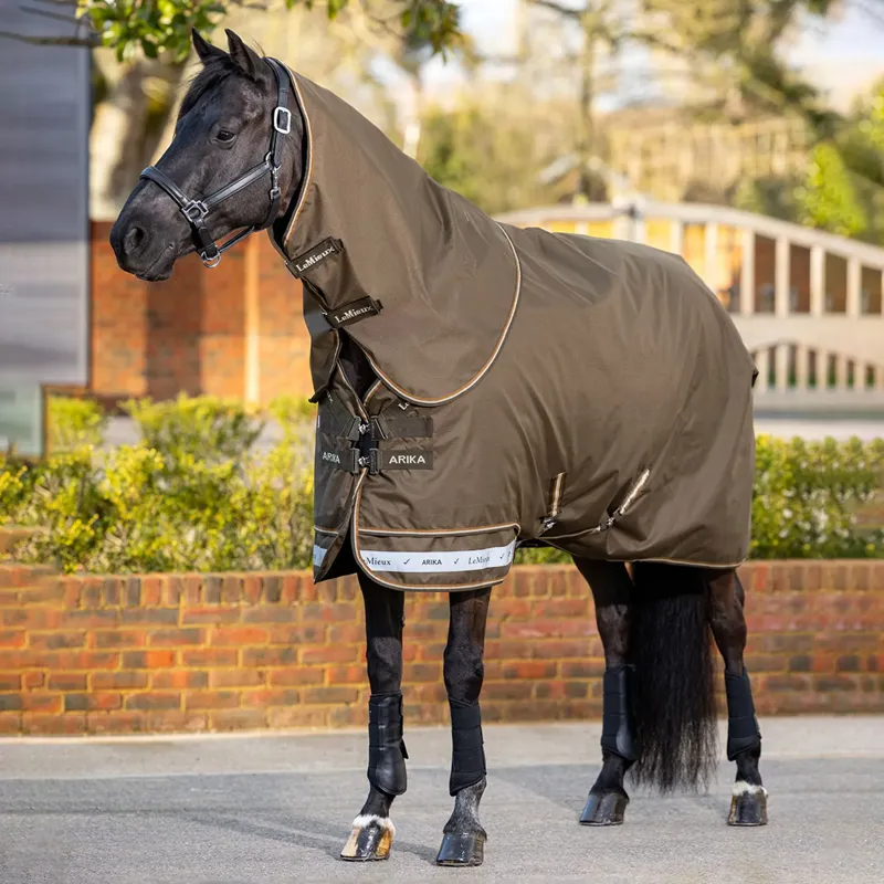Lemieux Arika Ripstop 100g Turnout Rug - Alpine