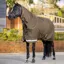 Lemieux Arika Ripstop 100g Turnout Rug - Alpine
