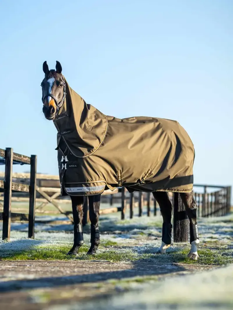 Lemieux Arika Ripstop 100g Turnout Rug - Alpine-2