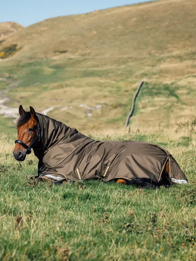 Lemieux Arika Ripstop 100g Turnout Rug - Alpine-3