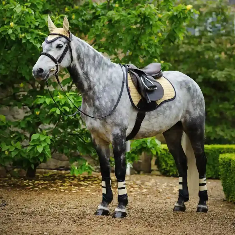 LeMieux Suede GP Square - Mimosa-4