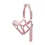 LeMieux Vogue Headcollar and Leadrope - Blossom